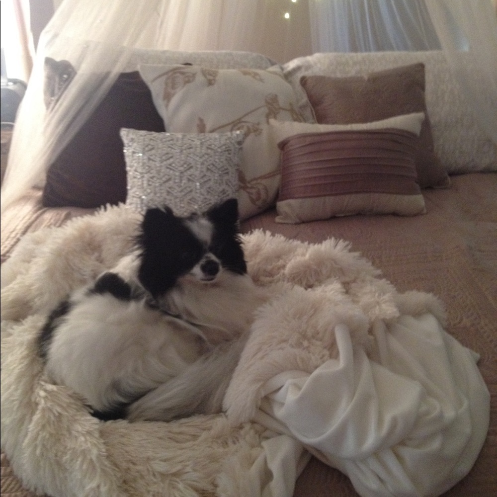 Meet your Posher, Haley